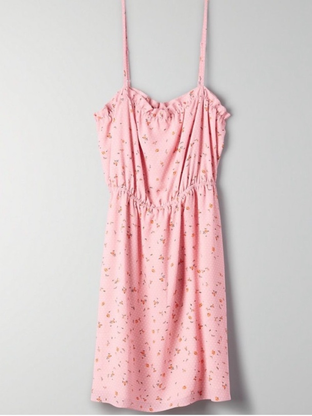 Aritzia Sunday Best Blixen Floral Mini Dress
